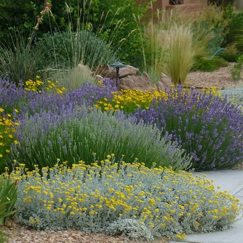 Compliment your plants by creating wonderful combinations using these basic design principles. Top Garden Design, Australian Garden Design, Mediterranean Garden Design, Mediterranean Gardens, High Country Gardens, Planting Combinations, Australian Native Garden, Landscaping Inspiration, Australian Garden