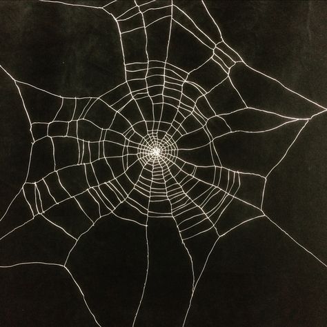 Spider Web Photo, Spiderweb Reference, Spiderweb Sketchbook Page Cutout, Wolf Spider Aesthetic, Spider Web Frame, Cobweb Aesthetic, Spider Web Pixel Art, Black Widow Spider Aesthetic, Black And White Art Ideas