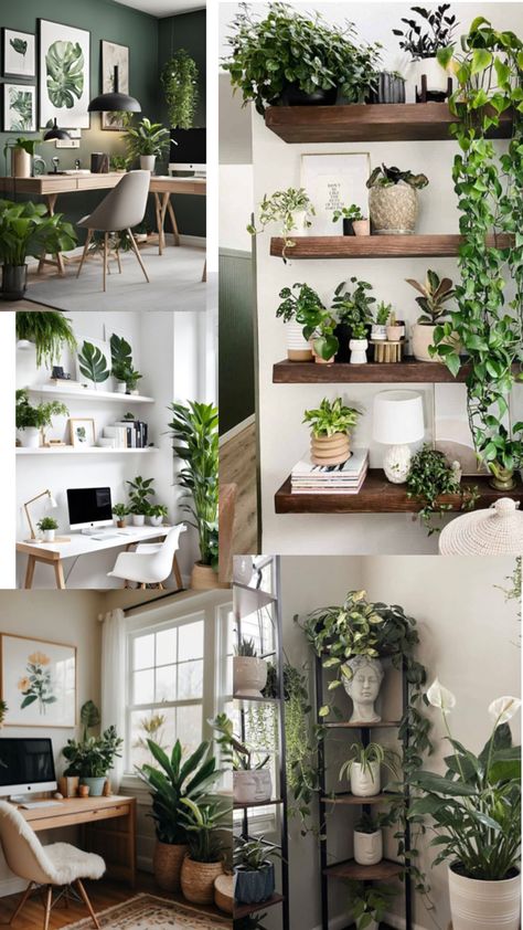 Organize Plants, Plants In Living Room, Easy Care Houseplants, Living Room Plants, Keep Alive, Office Plants, How To Organize, Planting, Living Room