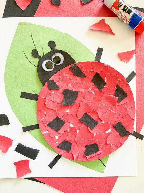 10 EASY Ladybug Crafts (2024) - ABCDee Learning Ladybug Preschool Art, Dragonfly Crafts For Toddlers, Ladybug Art For Toddlers, Ladybug Crafts For Toddlers, Ladybug Crafts Preschool, Ladybug Activity, Ladybugs Preschool, Ladybug Craft, Nursery Rhyme Crafts