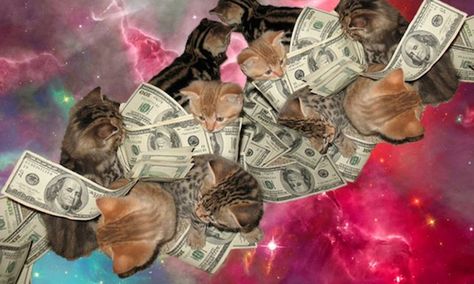 Image via Facebook The Bloodhound Gang, Millionaire Inspiration, Affirmations Success, Cat City, Funny Animal Photos, Cash Money, Funny Bunnies, Business Money, Money Affirmations