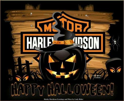 Boo!  #halloween #scarybiker #ghostrider #bewitched #rockstarfashion #Stop6HC Harley Davidson Halloween, Biker Halloween, Harley Davidson Decals, Harley Davidson Decor, Harley Davidson Crafts, Harley Davidson Images, Window Charm, Harley Davidson Pictures, Harley Davidson Artwork