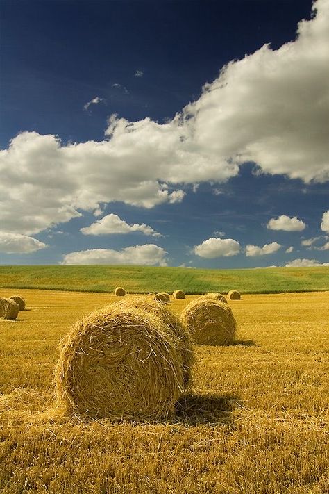 Hay Bales, Landscape Photography Nature, Rural Landscape, Alam Yang Indah, Art Challenge, Watercolor Landscape, Landscape Photos, Country Life, Nature Pictures