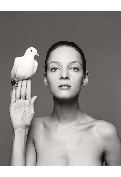 Richard Avedon Photos, Richard Avedon Photography, America Images, New York February, Guy Bourdin, Mario Sorrenti, Paolo Roversi, Robert Mapplethorpe, Tim Walker