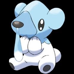 Cute but also sick Pokemon Mignon, Bear Pokemon, Rayquaza Pokemon, Ice Pokemon, Pokemon Tv, Pokemon Adventures Manga, Pokemon Black, Pokemon Blue, Pokémon Black And White