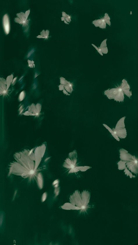 St Patrick's Day Wallpaper, Enchanting Wallpaper, Green Vibe, Day Wallpaper, Emerald Isle, St Patrick, Butterflies, Emerald, Diy Projects