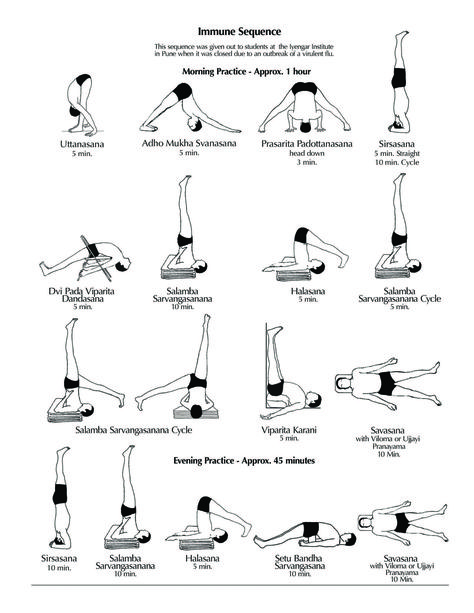 Home Practice Immune Sequence | Ramamani Iyengar Memorial Yoga Institute (RIMYI), Poona, India: http://yogaforbeginners-andmore.blogspot.com/2014/01/yoga-home-practice-immune-sequence.html Bks Iyengar Yoga, Iyengar Yoga Poses, Morning Yoga Sequences, Bks Iyengar, Yoga Series, Yoga Home, Yoga Ashtanga, Ashtanga Vinyasa Yoga, Frosé