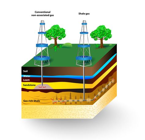 Weird Science Facts, Articles For Kids, Shale Gas, Fun Facts For Kids, Earth's Core, Biology Facts, Facts For Kids, Physical Science, Organic Matter