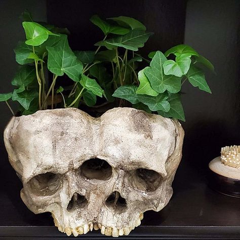 PRICES MAY VARY. 💀Funny Skull Shape : A Must-have for your Halloween Graveyard Décor. Hand-painted, individually polished and skull shape make it highly realistic, This eye-catching shape, lightweight green flower pot is very suitable as a conversation starter, no matter the display position from inside to outside, it adds a unique color to your home decoration 💀Resin Materials: The skull planter is made of environmental resin, realistic designed, stability, high wear resistance, not easy to f Skeleton Decor, Gothic Statue, Skull Planter, Skull Model, Resin Skull, Skull Flower, Resin Planters, Skeleton Decorations, Goth Home Decor