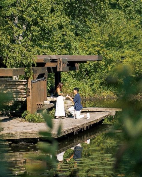 Nature proposal, discreet silhoutte proposal idea. Alfred Caldwell Lily Pond Chicago Proposal location ideas. Summer proposal photo inspo Lake Dock Proposal, Low Key Proposal, Pretty Proposal Ideas, Golden Hour Proposal, Proposal Ideas Nature, Intimate Proposal Ideas Simple, Lowkey Proposal, Dream Proposal Ideas, Zoo Proposal