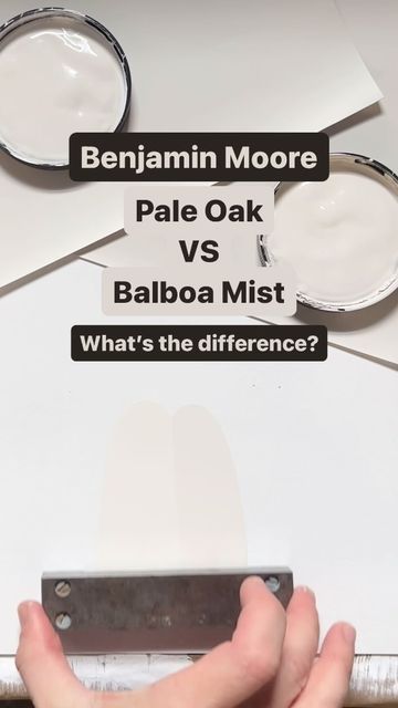 How To Transition Paint Between Rooms, North Facing Rooms, Benjamin Moore Pale Oak, Benjamin Moore Paint Colors, Balboa Mist, Pale Oak, What Is The Difference Between, Paint Colours, Balboa