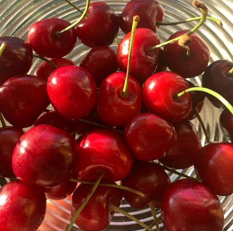 #cherry #red #summer #summernights #aesthetic #bohemian #fruit #fruitsaladrecipes #berry #berries #midsummer Summer Cherries, Red Pictures, Red Beach, Berry Juice, Fruit Salad Recipes, Taste The Rainbow, Island Style, Red Aesthetic, Summer Fruit