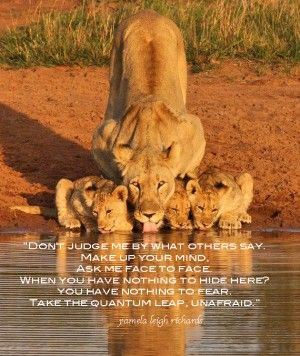 Lion And Lioness Love Quotes Lioness with cups at water Lioness And Cubs, Regnul Animal, Cele Mai Drăguțe Animale, Gato Grande, Wild Animals Pictures, Animale Rare, Cheetahs, Hyena, A Lion