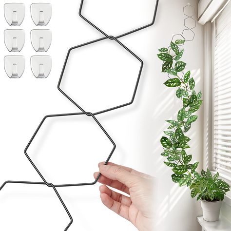 PRICES MAY VARY. DIY Climbing Path: Our product features a set of 18 hexagonal rings, carefully designed to create a sturdy and attractive climbing path for upward-growing plants. Easy Installation: With included wall hooks, our plant trellis kit provides hassle-free setup, making it a perfect DIY gardening accessory or decorative gift set. Premium Matte Finish & Weather Resistance: Coated with high-quality matte paint, our plant trellis boasts an elegant aesthetic while providing waterproof and Trailing Plant Wall Hanger, Ladder Plant Hanger Wall, I Door Plant Wall, House Plant Accessories, Wall Climbing Plants, Climbing Plants Trellis, Metal Garden Trellis, Climbing Trellis, Plant Bracket