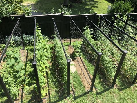 My Garden Trellis Design for Cucumbers, Tomatoes & Vertical Vegetables Cattle Panel Trellis Tomato, Vertical Zucchini Garden, Tomato Arch Trellis, Veggie Garden Trellis, Wood Trellis Ideas, Circular Vegetable Garden, Watermelon Trellis, Tomato Trellis Ideas, Trellis Tomatoes