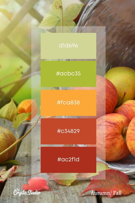 Fall/Autumn color palette scheme for color inspiration with hex codes for digital painting. (9/9) Follow the Cryste Studio for more color inspirational palettes. September Color Palette Hex Codes, Corn Color Palette, Candy Corn Color Palette, Apple Orchard Color Palette, Autumn Color Palette Hex Codes, Apple Calendar Hex Codes, Autumnal Color Palette, Harvest Color Palette, Fall Color Palette Hex Codes