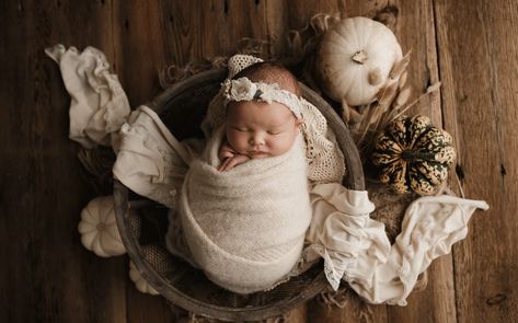 Spooky Newborn Photoshoot, Newborn Photography Pumpkin, Fall Newborn Photo Ideas, Newborn Girl Fall Photoshooting Ideas, Fall Themed Newborn Photos, Pumpkin Newborn Photos, Fall Newborn Photoshoot Ideas, Fall Newborn Session, Fall Theme Newborn Photo Shoot