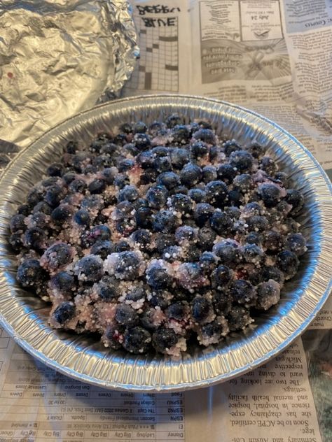 Freezing Pie Filling, Freezer Blueberry Pie Filling, Frozen Blueberry Pie Filling, Freezer Pie Filling, Frozen Blackberry Pie, Blueberry Pie With Frozen Blueberries, Bluberry Pie, Frozen Blueberry Pie, Blueberry Pie Filling Recipes