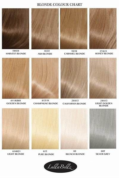 Blonde Color Chart, Champagne Blond, Cool Blonde Hair Color, Blonde Hair Color Chart, Blonde Hair Colour Shades, Different Shades Of Blonde, Golden Blonde Hair Color, Cool Blonde Hair Colour, Honey Blond