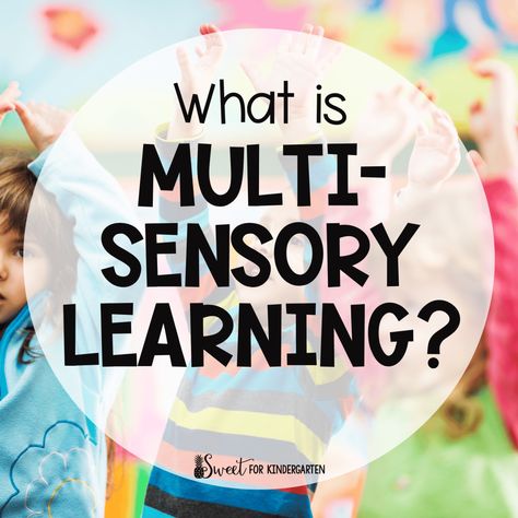 Educational Philosophies, Differentiating Instruction, Multisensory Phonics, Multisensory Teaching, Tactile Activities, Dyslexic Students, Multi Sensory Learning, Multisensory Activities, Tactile Learning