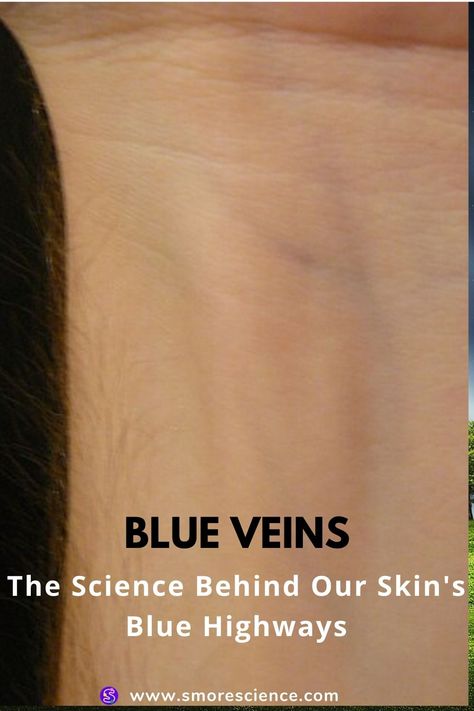 #Veins #blue #Science #Skin #Highway #Oxygen #Tissue #spectrum #stemchallenge #science #scienceforkids #sciencemagazine #smoremagazine #stem #stemeducation #stemforkids Meaning Of Blue, Blue Veins, Science Magazine, Run Through, Blue Eye, Our Body, Have You Ever, Your Skin, Meant To Be