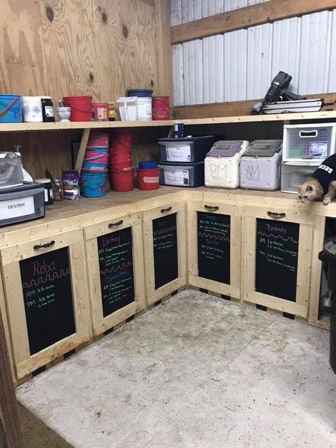 Diy Horse Feed Storage, Feed Rooms For Horses, Horse Wash Bay Ideas, Horse Grain Storage Ideas, Feed Room Horse, Horse Stall Design, Barn Setup Ideas, Horse Feed Room Ideas, Horse Boarding Facility Ideas