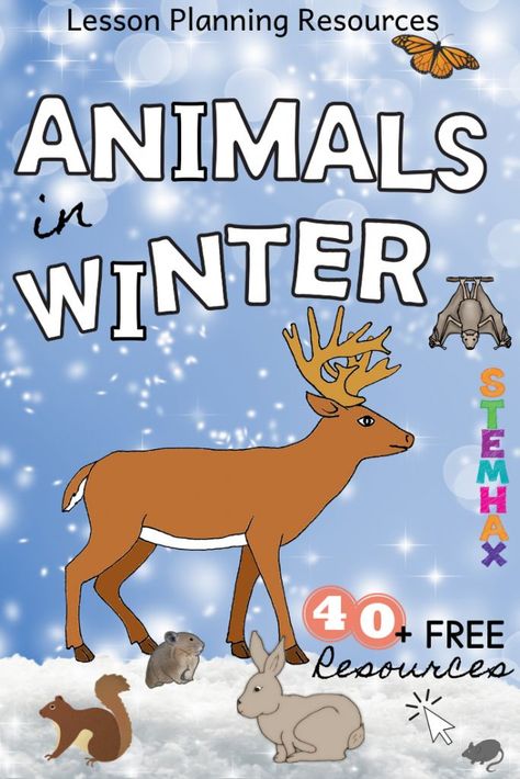 Animals in Winter - FREE Lesson Planning Resources for Teacher and Parents.     Check out this blog post with over 40 FREE Lesson Planning Resources for any "Animals in Winter" unit of study.     #deer #rabbit #pika #squirrel #bats #butterfly #birds #mice #fox #woodchuck #groundhog #science #winter #animals #kindergarten #1srgrade #2ndgrade #stemhax #freebie Winter Animals Kindergarten, Animals Kindergarten, January Themes, Animals In Winter, Winter Lesson Plan, Animal Lessons, Winter Unit, Elementary Lessons, Homeschooling Tips