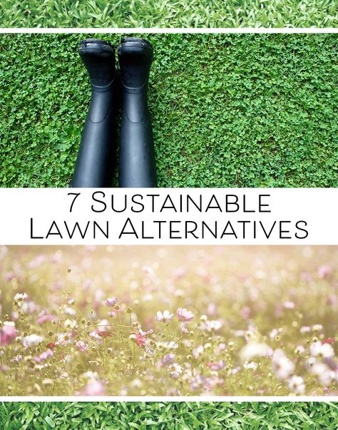 No Grass Garden Design, Natural Lawn Alternatives, No Upkeep Landscaping, Front Lawn No Grass Ideas, Yard Without Grass Ideas, Sustainable Yard Ideas, Front Lawn Alternatives, Grass Alternatives Front Yard, Lawn Cover Grass Alternative