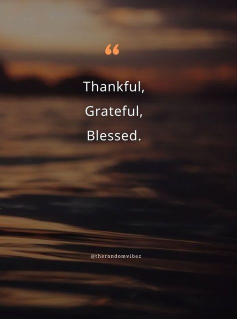 Thank You For My Blessings Quotes, Blessed Morning Quotes Be Grateful, Grateful Happy Quotes, To Live Quotes, Blessed With Best Quotes, Life Blessings Quotes, Work Is A Blessing Quote, Booked Busy Blessed Quotes, I Have Been Blessed Quotes