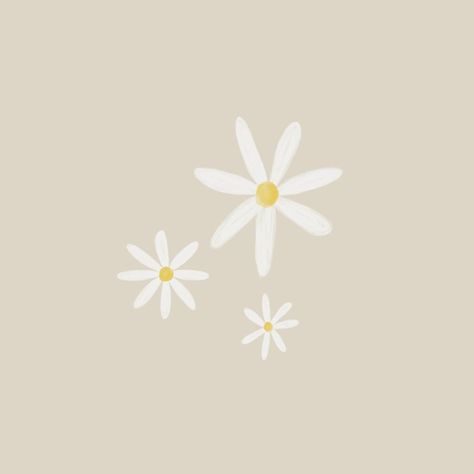 Hand drawn daisy doodles 💭⁠ .⁠ .⁠ #handdrawnflowers #customillustration #adelaideinvitationdesigner Daisy Illustration Simple, Draw Daisy, Customizing Shoes, Drawn Daisy, Daisy Doodle, Daisy Drawing, Hand Drawn Flowers, Daisy Chain, Instagram Highlight Icons