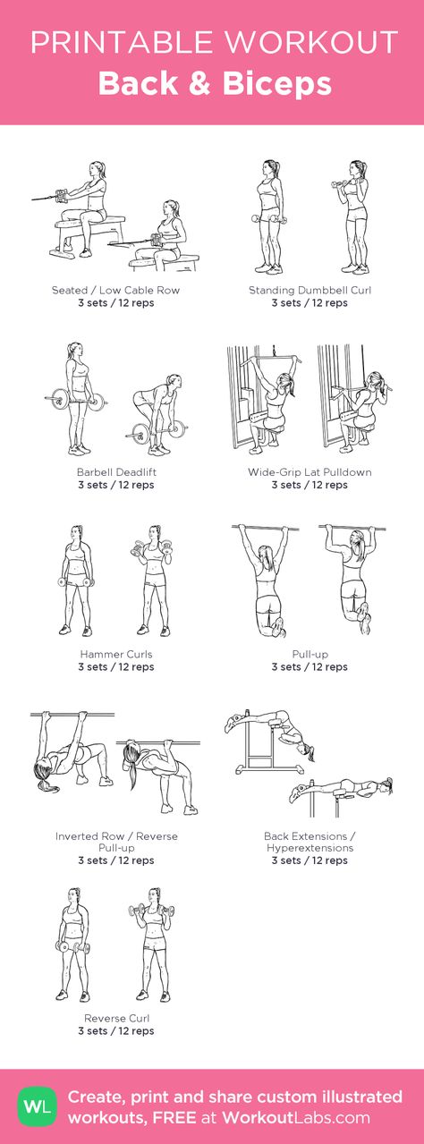 Back & Biceps workout | Posted By: CustomWeightLossProgram.com Strengthening Workouts, Bicep Workout Gym, Back Biceps Workout, Exercise Without Weights, Back Workout Men, Big Biceps Workout, Back And Bicep Workout, Workout Labs, Reps And Sets