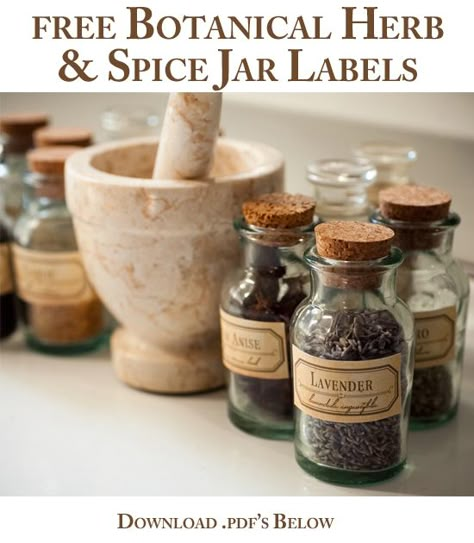 For Strange Women: DIY Spice Jar Labels - A free download to transform your kitchen Diy Spice Jars, Making Medicine, Spice Jar Labels, Diy Spices, Diy Kosmetik, Kitchen Witchery, Recycled Glass Bottles, Spice Labels, Spice Jar