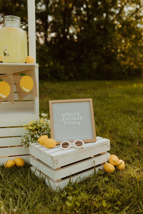 Vintage Lemonade Stand, Lemonade Stand Farmers Market, Lemonade Stand Party Ideas, Lemonade Stand Mini Session, Kids Lemonade Stand Ideas, Aesthetic Lemonade Stand, Garage Sale Aesthetic, Lemonade Stand Photoshoot, Cute Lemonade Stand Ideas