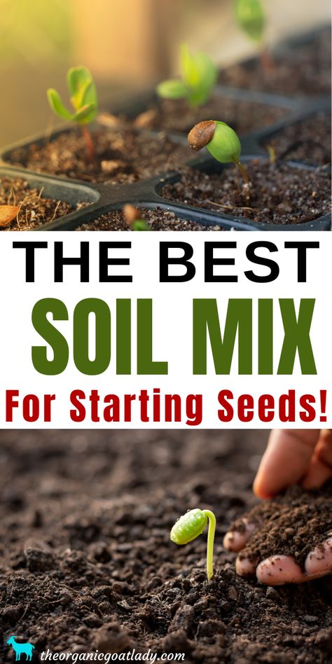 Seed Starting Soil, Tattoo Plant, Starting Seeds, Seed Starting Mix, Starting Seeds Indoors, Seed Starter, Survival Gardening, Starting A Garden, Healthy Garden