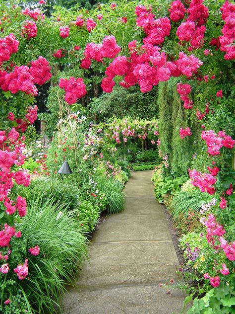 Pathway 3 by Alienesse-Stock Flower Garden Pictures, Garden Background, फोटोग्राफी 101, Beautiful Flowers Photos, Most Beautiful Gardens, Garden Pictures, Beautiful Flowers Garden, Beautiful Flowers Wallpapers, Romantic Garden