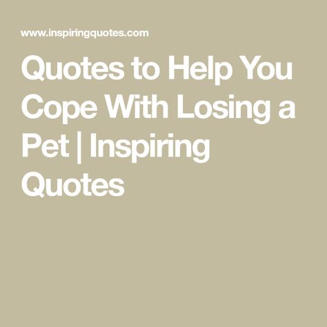 Quotes to Help You Cope With Losing a Pet | Inspiring Quotes Losing Pets Quotes Cat, When A Pet Dies Quotes Dogs, Loosing Pets Quotes, Quotes For When Your Dog Dies, Losing A Dog Quote, Quotes About Pets Passing, Quotes For Dogs Passing, Losing Dog Quotes, Losing Your Dog Quotes