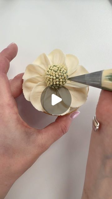 Alice Ward on Instagram: "Just for fun- a cute little daisy type flower for y’all 😄🤍 . #cake #cupcakes #flower #flowercupcakes #floralcupcakes #buttercreamflowers #piping #pipingvideo #prettyflower #prettycupcakes #buttercream #frosting #icingvideo #petalsbakehouse" Petals Bakehouse, Icing Piping Techniques, Cupcake Decorating Techniques, Buttercream Flowers Tutorial, Easy Cupcakes Decoration, Piping Buttercream, Cake Decorating Flowers, Frosting Flowers, Flower Sugar Cookies