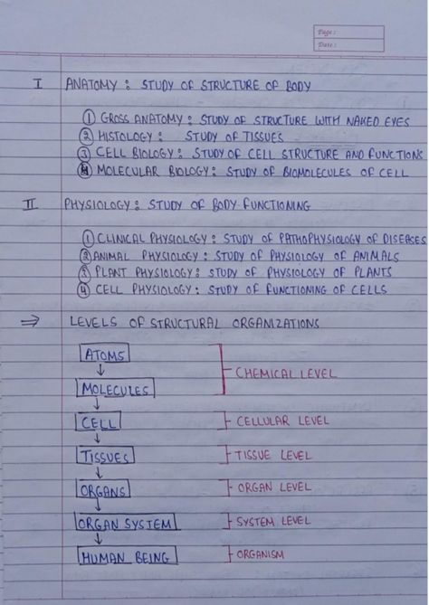 human anatomy and physiology notes first semester b. pharmacy B Pharmacy Notes 1st Year, B Pharmacy Notes, Human Anatomy And Physiology Notes, Anatomy And Physiology Notes Study, Anatomy And Physiology 1, Pharmacy Notes, Anatomy And Physiology Notes, B Pharmacy, Physiology Notes