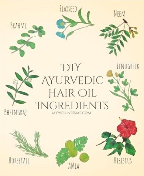 DIY Ayurvedic Hair Oil Recipe & Benefits - My Wellness Me Oiling Your Hair, Hair Oil Ingredients, Hair Oil Recipe, Ayurveda Hair, Ayurvedic Hair Care, Ayurvedic Hair Oil, Herbs For Hair, Eco Friendly Diy, Ayurvedic Recipes