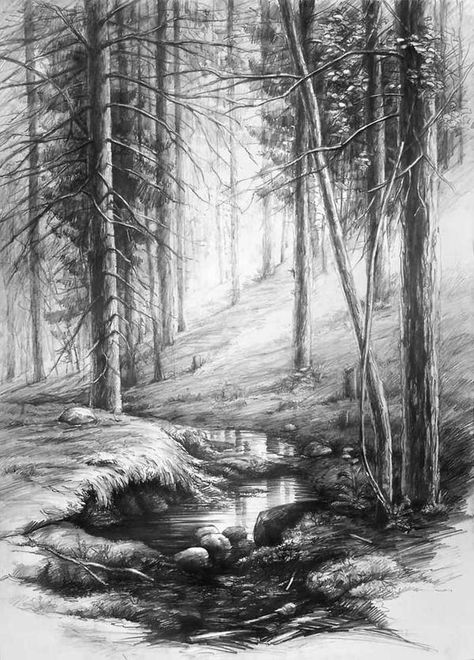 Nature Sketches Pencil, Forest Sketch, Tato Flash, Easy Pencil Drawings, Beautiful Pencil Drawings, Landscape Pencil Drawings, Tree Drawings Pencil, Forest Drawing, Forest Tattoos