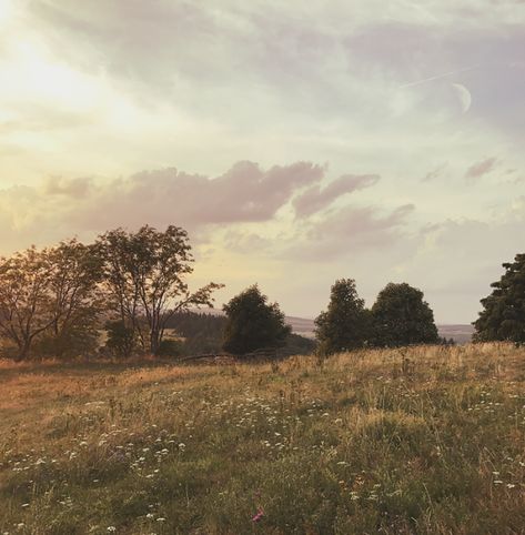 we're the granddaughters of the witches you weren't able to burn Junk Yard, Nature Aesthetic, Pretty Places, Pretty Pictures, Happy Places, Mother Nature, Aesthetic Pictures, Beautiful Places, Nature Photography