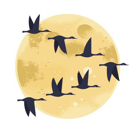 I Love Birds! on Behance Simple Bird Flying Drawing, Bird Migration Illustration, Birds Flying Painting, Birds Flying Illustration, Geese Illustration, Flying Bird Art, Jennifer Ward, Fly Drawing, Easy Bird