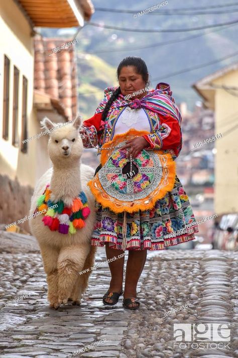 Local woman in traditional costume with a decorated Alpaca (Vicugna pacos), Old Town, Cusco, Peru, Stock Photo, Picture And Rights Managed Image. Pic. IBR-4968161 | agefotostock Peru Culture Traditional Dresses, Peru Clothing Traditional Dresses, Bolivia Traditional Dress, Peruvian Traditional Clothing, Peru Traditional Clothing, Bolivia Traditional Clothing, Peru Clothes, Peruvian Costume, Peru Clothing