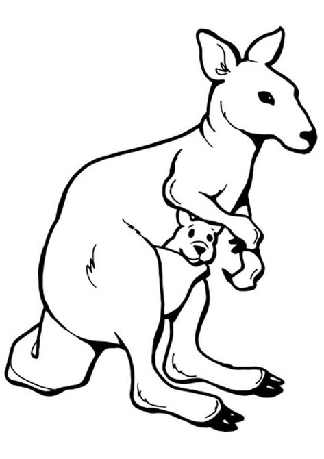 Australian Animals Preschool, Kangaroo Coloring Page, Kangaroo Drawing, Preschool Theme Activities, Animal Outline, Elephant Coloring Page, Animal Templates, Australia Animals, Australian Animals