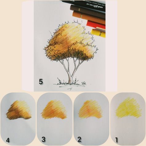 Trees In Colored Pencil, Drawing Trees With Colored Pencils, Drawing Backgrounds Color Pencil, How To Draw Trees Colored Pencil, Trees Colored Pencil, Coloring Trees With Colored Pencils, Tree Drawing Pencil Colour, Color Pencil Tree Drawing, Tree Drawings Pencil Color