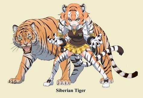 Safebooru Tiger Ears, Plaid Clothes, White Footwear, Two Tone Hair, Tiger Tail, Skirt Print, Hybrid Art, Gloves White, Kemono Friends