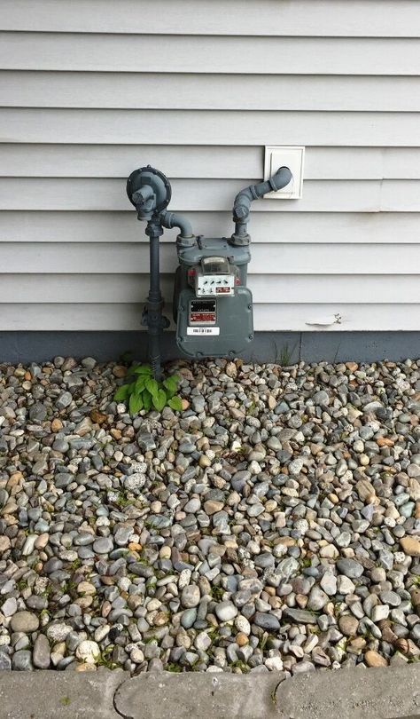 How to conceal your gas meter | My Perpetual Project Gas Line Cover Up, Hide Gas Meter Ideas, Outdoor Electrical Box Cover, Utility Covers, Irrigation Pumps, Hiding Ugly, Gas Pipe, Diy Fence, Front Landscaping