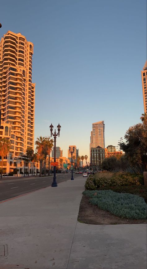 Downtown San Diego Aesthetic, San Diego California Aesthetic, San Diego Wallpaper, San Diego Vibes, San Diego Pictures, Cali Aesthetic, San Diego Aesthetic, San Diego Downtown, San Diego Sunset