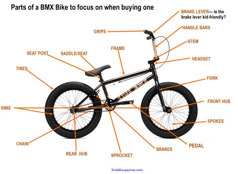 Bmx Brands, Sepeda Bmx, Bmx Street, Best Bmx, Bike Equipment, Bmx Racing, Bmx Bicycle, Bmx Freestyle, Bmx Bike