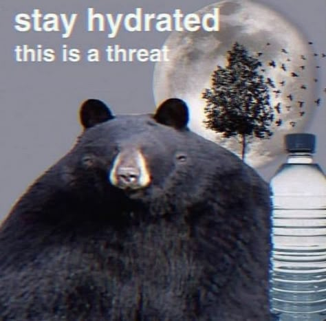 Fresh Memes, Silly Animals, Wholesome Memes, Reaction Images, Reaction Memes, Stay Hydrated, Reaction Pics, Dankest Memes, Best Memes